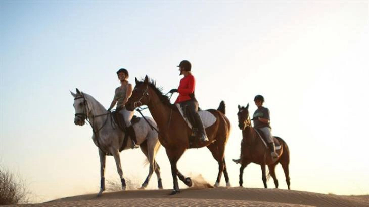 Клуб верховой езды Jebel Ali Equestrian Club в Дубаи: Horses, Horse 🐎 , Jebel Ali, Лошади, Конные скачки , Скачки, Конные прогулки , Ипподром ,