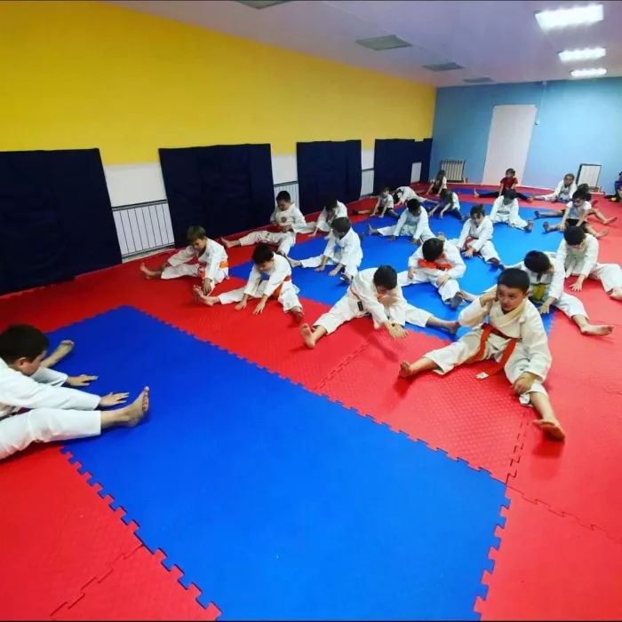 Школа боевых искусств "Скиф-С"