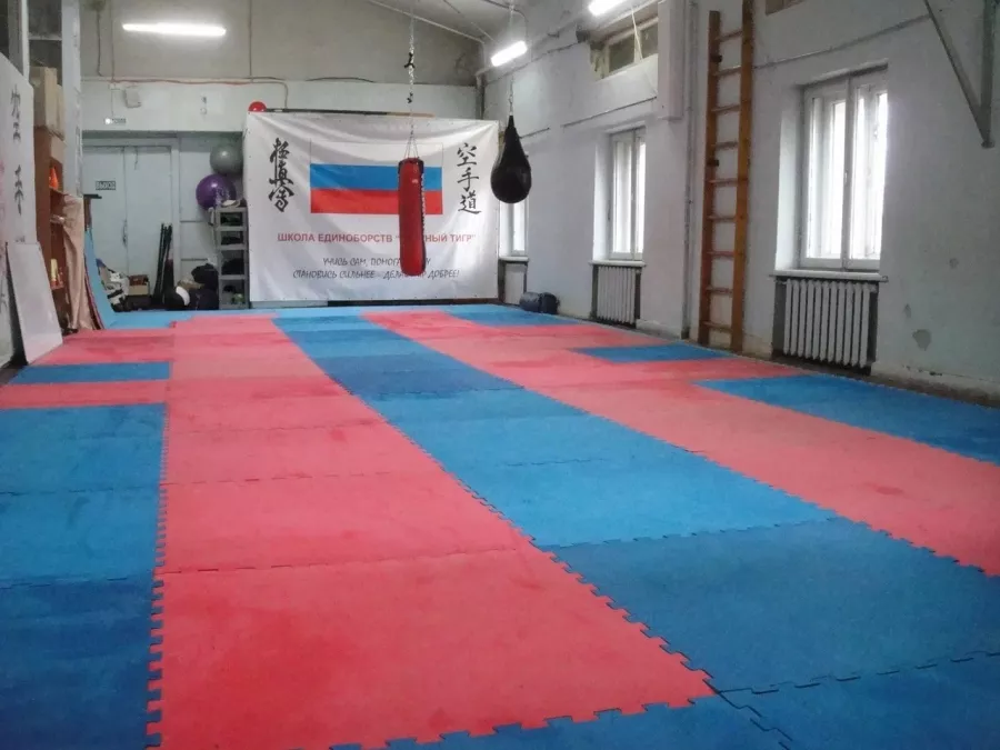 Школа Единоборств Красный Тигр в Нижнем Новгороде: Единоборства, Физическая Культура, Тренировки, ММА, Боевые Искусства, Самооборона, Самбо,