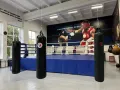 Миниатюра 4