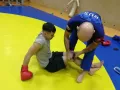 Миниатюра 6