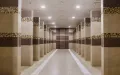 Миниатюра 10