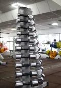 Миниатюра 8