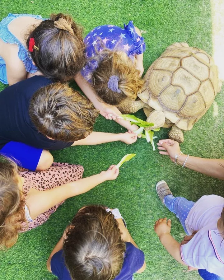 Детский парк XPark Jr в Дубаи: Kids , Child , Children , Children's Center, Children's entertainment Center, Entertainments, Attractions, Детский развлекательный центр, Детский центр, Развлечения, Для детей,