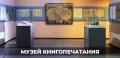 Миниатюра 11