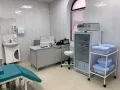 Миниатюра 7