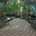 Миниатюра 10