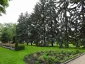 Миниатюра 10