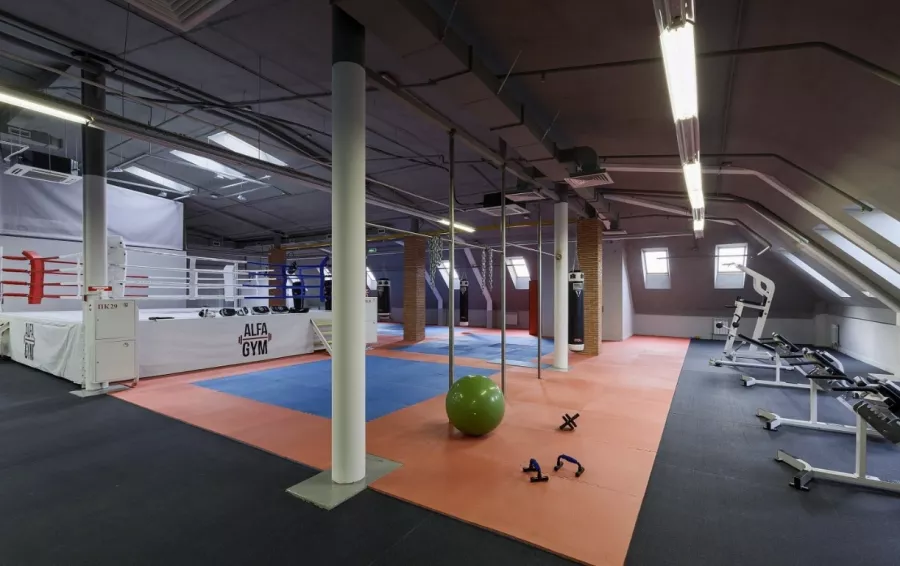 Фитнес-центр Alfa Gym в Казани: Джампинг, Зумба, Йога, Калланетика, Аэробика, Пилатес, Развиваться, Кроссфит,