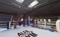 Миниатюра 8