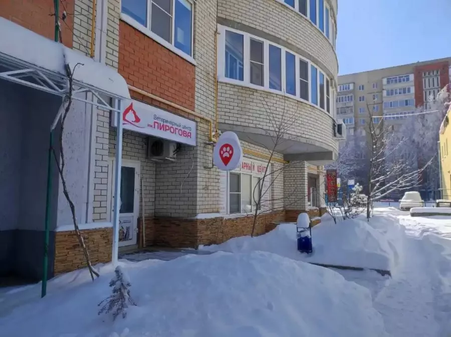 Ветеринарный центр имени Пирогова на улице Пирогова  в  Ставрополе