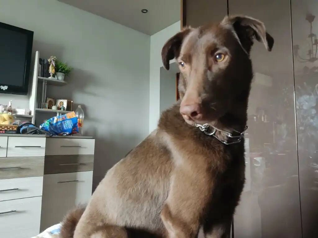 Большое фото 2