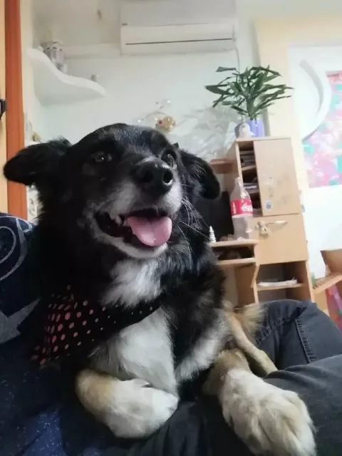 Фото 5