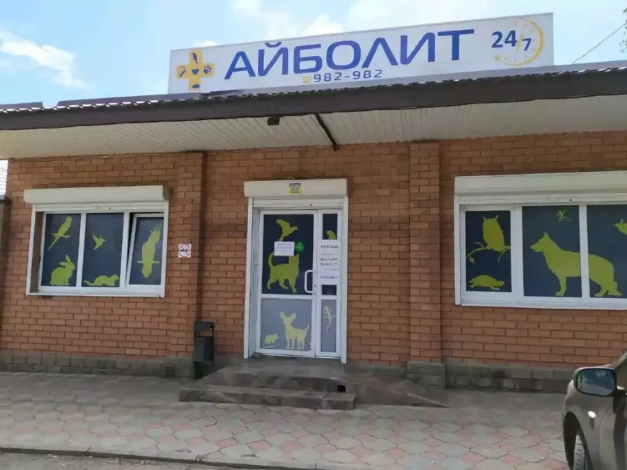 Ветеринарная клиника Айболит в Ставрополе: Домашние питомцы, Любимцы, Ветеринар, Ветклиника, Все для животных, Зоомагазины,