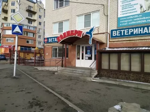 Ветеринарная клиника Колибри в Ставрополе