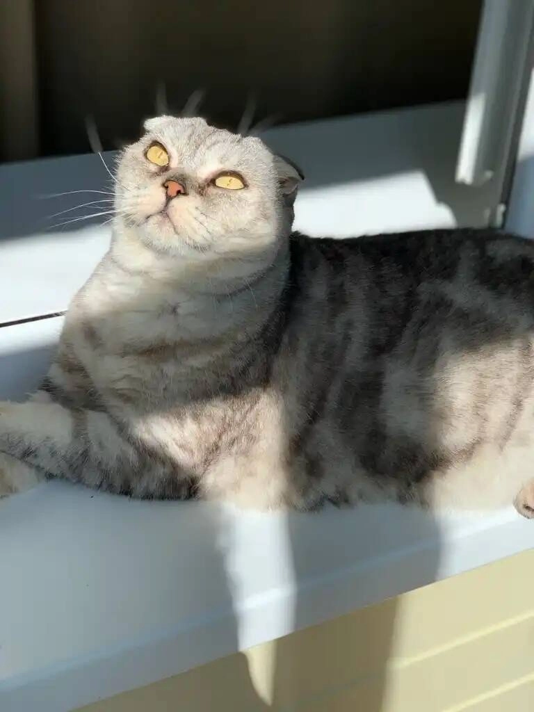 Региональный центр ветеринарной медицины