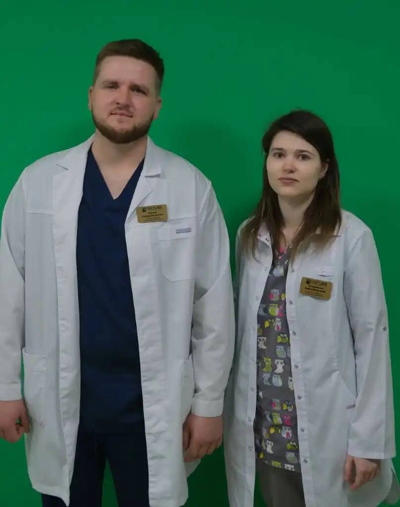 Ветеринарная клиника "VETLike"