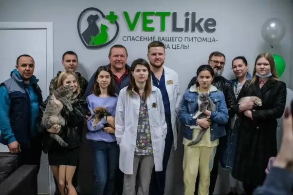 Ветеринарная клиника "VETLike"