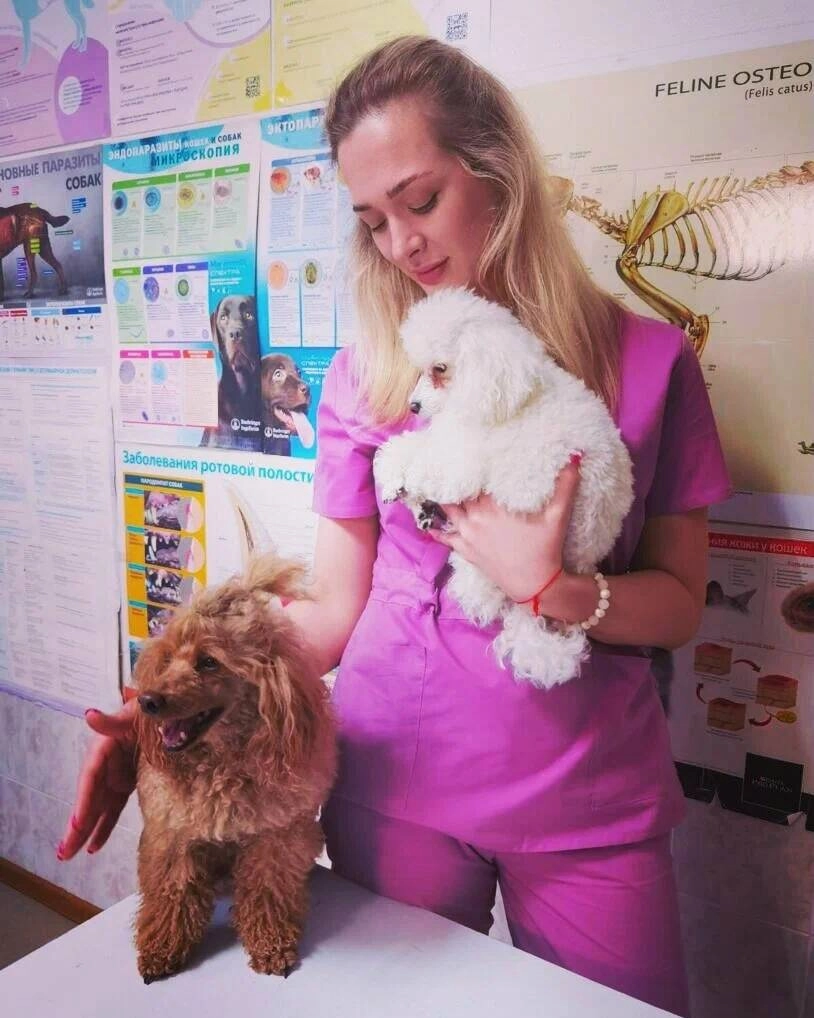 Ветеринарная клиника "Цап-Царап"