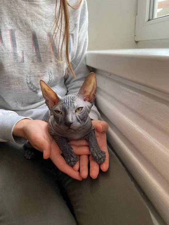 Ветеринарная клиника "Цап-Царап"