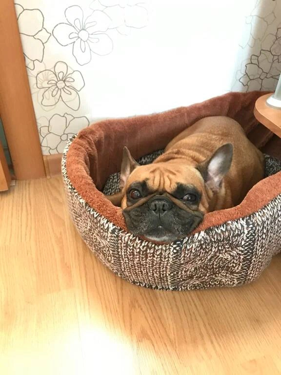 Ветеринарная клиника "Цап-Царап"