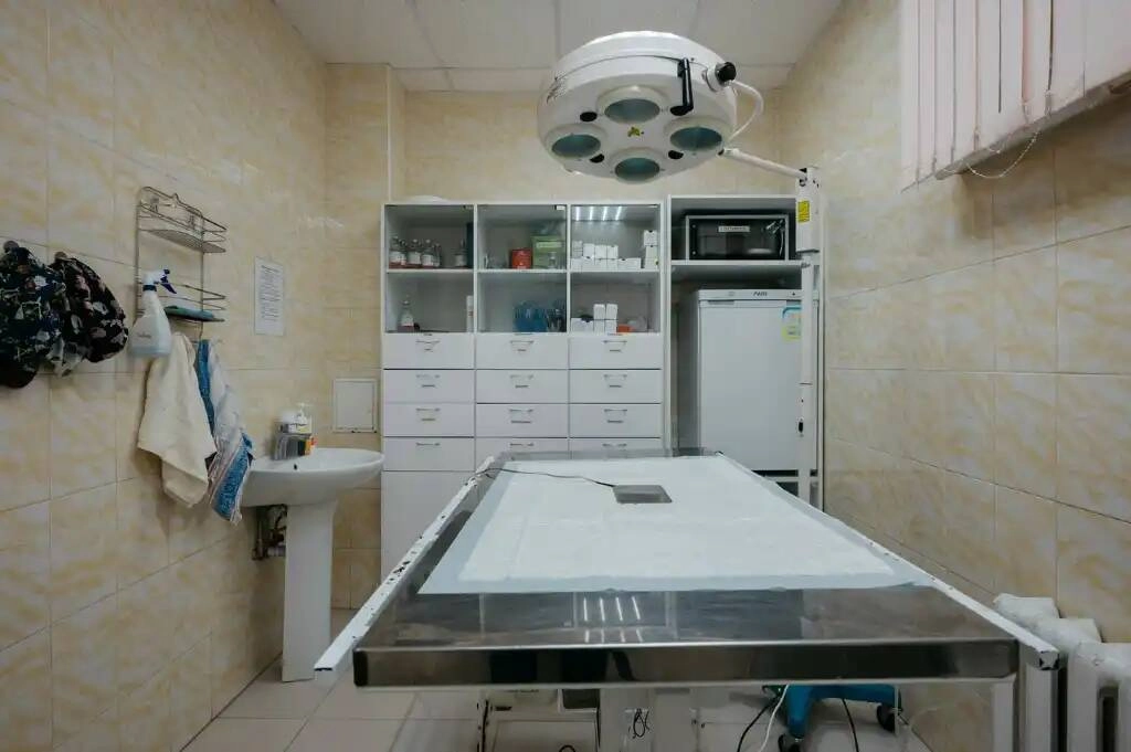 Ветеринарная клиника "Феникс"