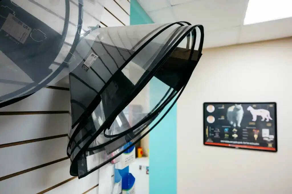 Ветеринарная клиника "Феникс"