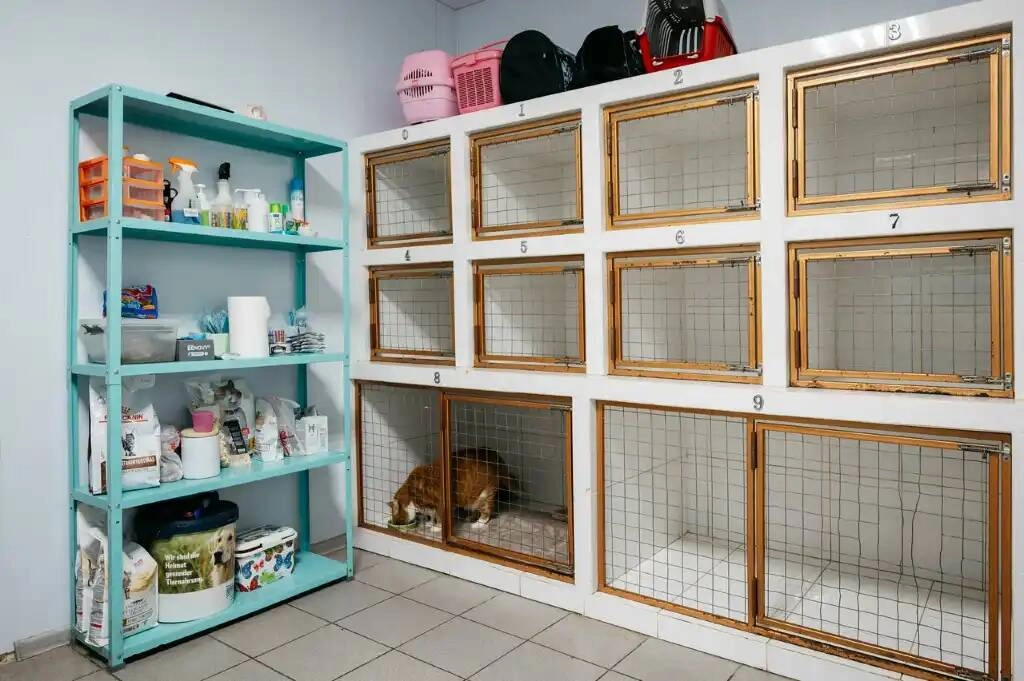 Ветеринарная клиника "Феникс"