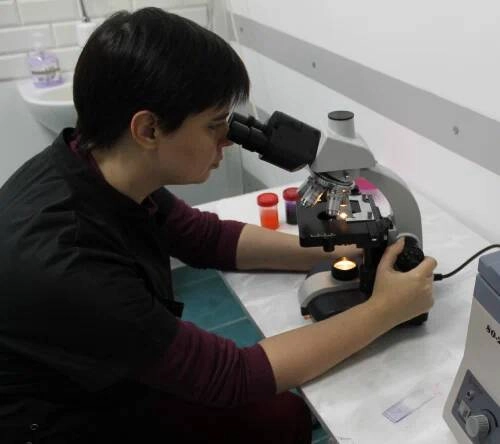 Ветеринарная клиника "Доктор Кэт"