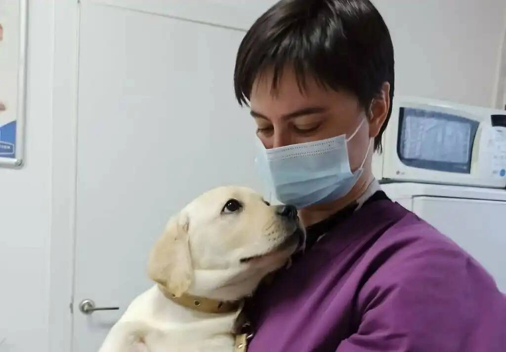 Ветеринарная клиника "Доктор Кэт"