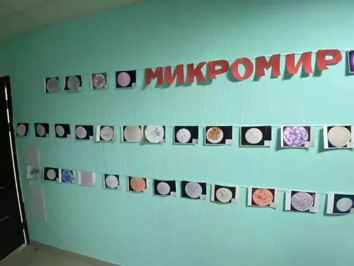 Северо-Кавказский федеральный университет