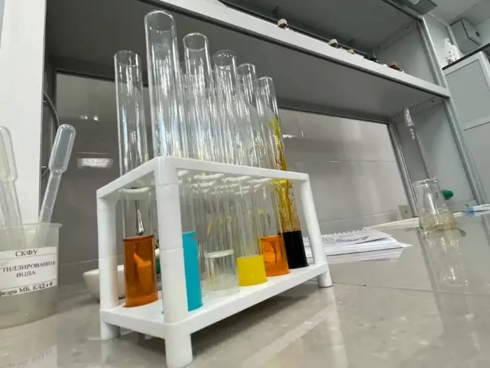 Северо-Кавказский федеральный университет