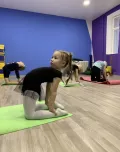 Миниатюра 2
