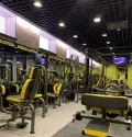 Миниатюра 6