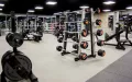 Миниатюра 7
