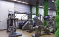 Миниатюра 4