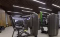 Миниатюра 6