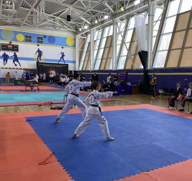 Спортивный комплекс Орехово-Борисово в Москве: Для детей, Спортивная аэробика, Крытый бассейн, Стретчинг, Развиваться, Фитнес, Персональный тренер, Боевые искусства, Для взрослых, Аквааэробика,