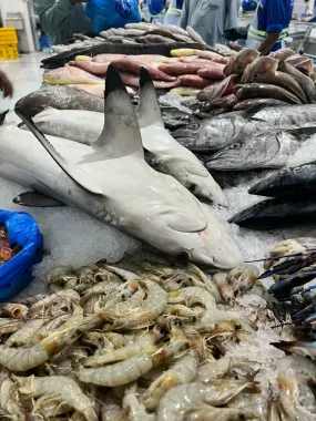 Рынок "Deira Waterfront Market"