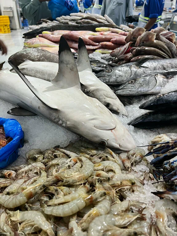 Рынок Deira Waterfront Market в Дубаи: Fish , Crab, Cancer, Seafood, Lobsters, Market , Souk, Рынок, Базар , Морепродукты , Рак, Краб, Омары, Восточный Базар , Рыба,