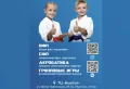 Миниатюра 10