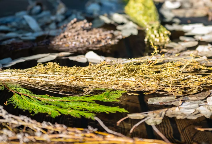 Баня на Горном воздухе в Красной Поляне: Баня, Бассейн, Виды,