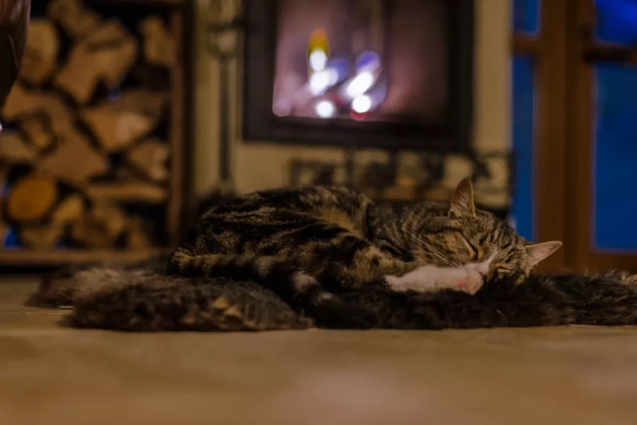 Баня на Горном воздухе в Красной Поляне: Баня, Бассейн, Виды,