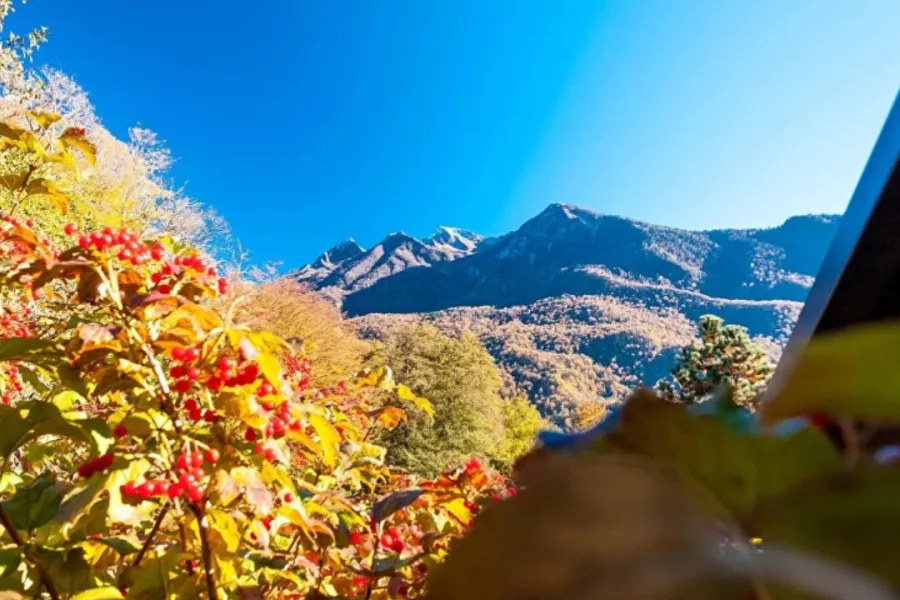 Банный СПА-комплекс Велья в Красной Поляне: Баня, Виды, Обертывание, Массаж, Сауна,
