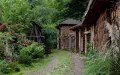 Миниатюра 9