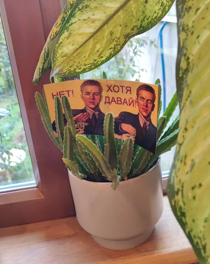 Кафе Дом лесника в Красной Поляне: Еда навынос, Доставка, Авторская кухня, Завтрак, Салаты, Мясо, Виды, Оплата картой, Еда,