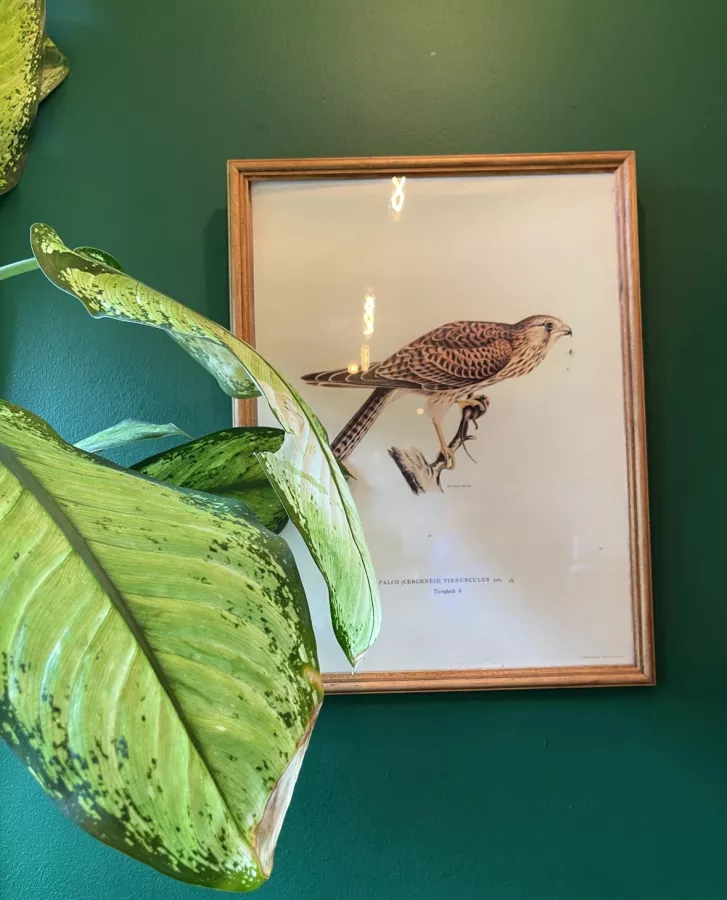 Кафе Дом лесника в Красной Поляне: Еда навынос, Доставка, Авторская кухня, Завтрак, Салаты, Мясо, Виды, Оплата картой, Еда,