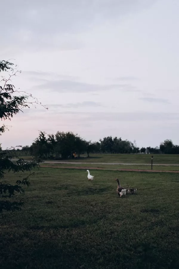 Северский Рыбхоз в Краснодаре: 👨👧🏕️ Отдых, Мангал, Природа, Праздник, Озеро, Корпоратив, Дружба, Романтика, Отдых за Городом, Свадьба на Природе, 👪🏕️🏞️ Отдых Семьёй, Для влюбленных,