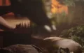Миниатюра 9