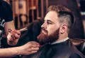 Миниатюра 10